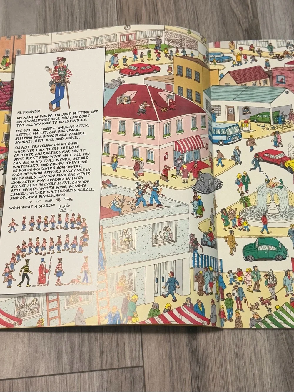Where's Waldo? Picture Book by - Blue